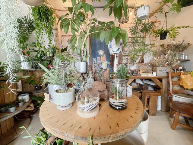 佐島にある植物屋【Indian green】