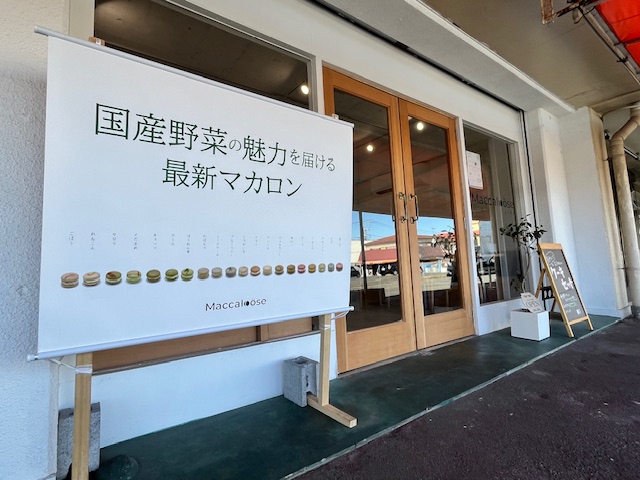 【Maccaloose(マカルース)】